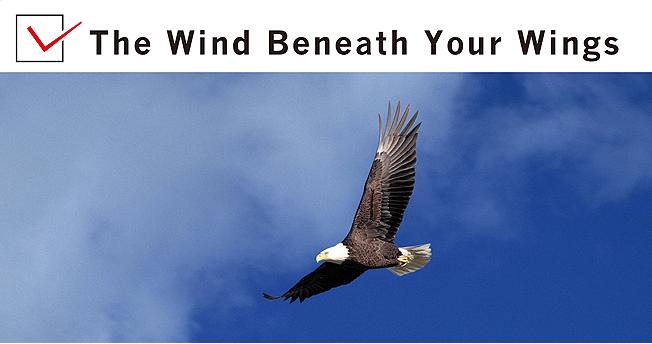 The Wind Beneath Your Wings